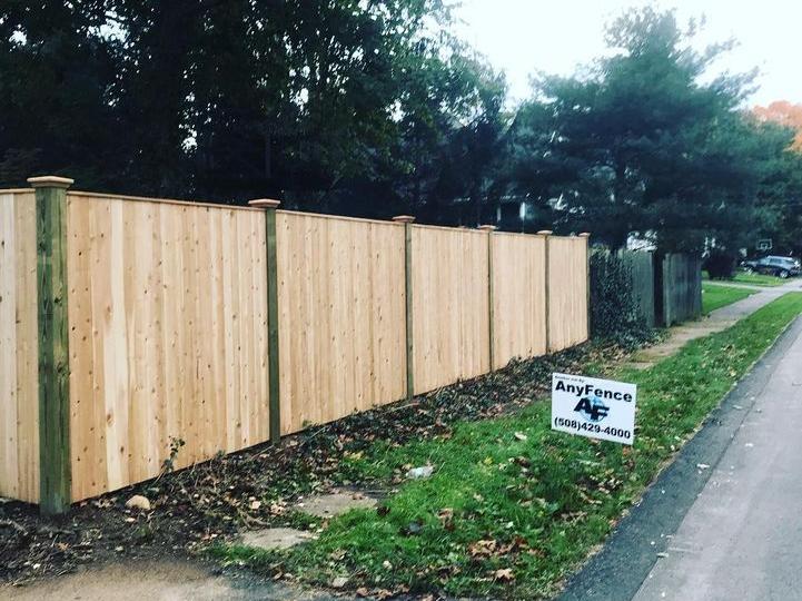 Needham's Cascading Cedar AnyFence